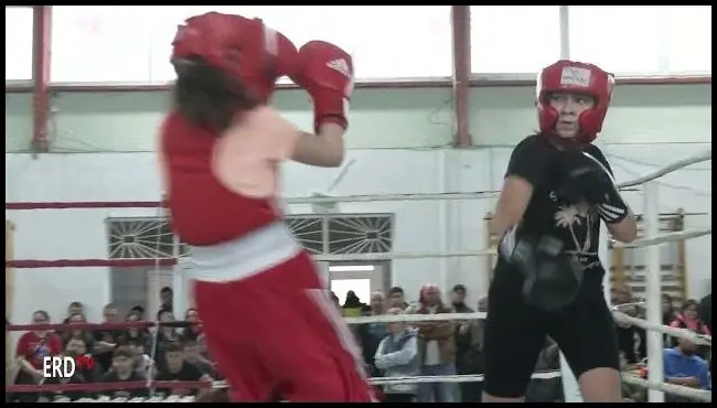 Boxgála Baróton