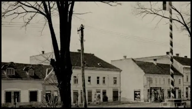 Ipekakuána avagy baróti feljegyzések