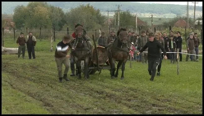 Munkalovak versenye Felsőrákoson 2022.
