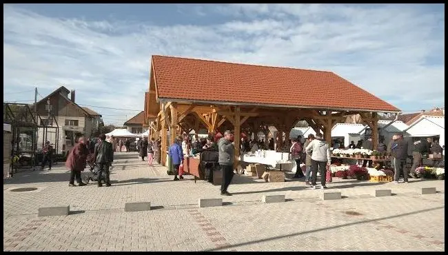 Piacavató