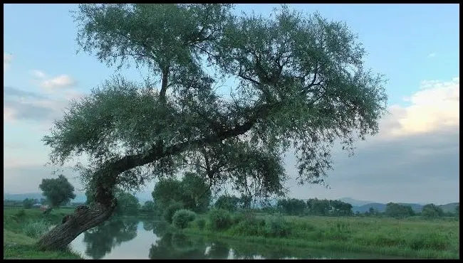 A Rika Sporthorgász Egyesület