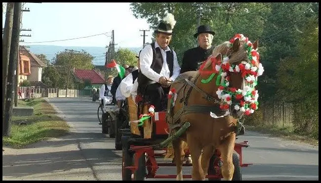 Nyugdíjasok szüreti mulatsága Vargyason