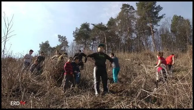 Emlékerdő Középajtán